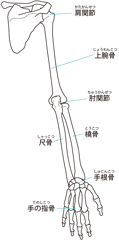 テニス肘へのアプローチ