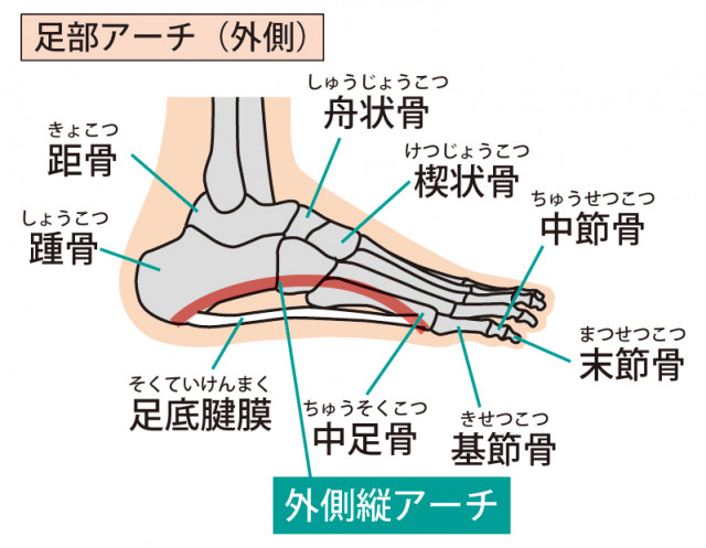 足底筋膜炎改善に際し大切にしていること
