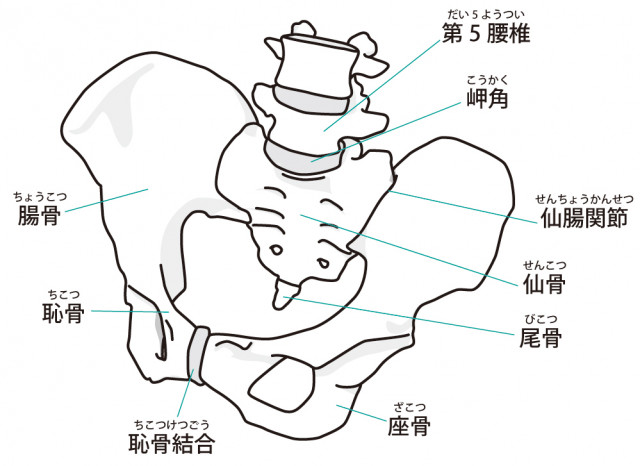 坐骨神経痛とは?