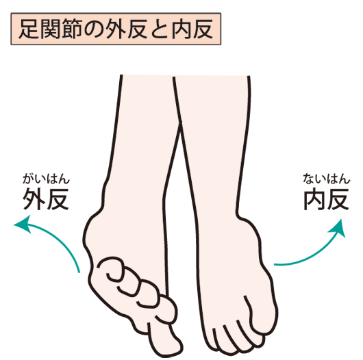 捻挫の外反・内反のイラスト